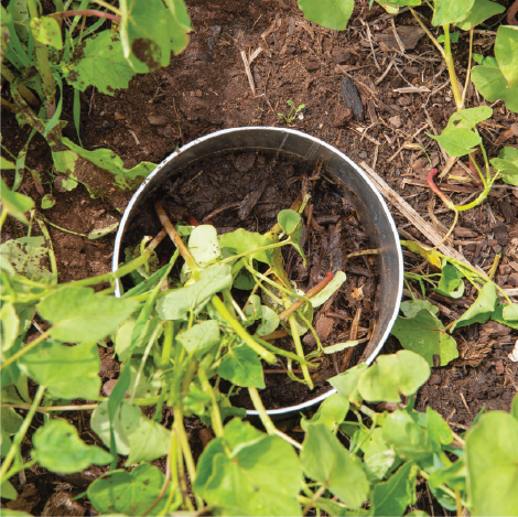 pipe 1